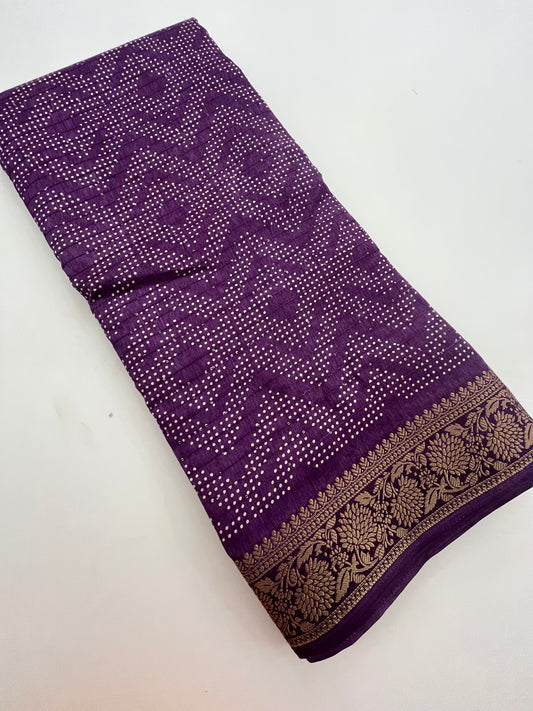 Fancy Sequence Saree