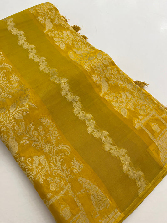 Chinno designer fancy