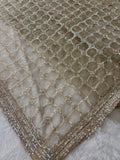 Designer Gold Beige Net Saree With Full Sleeves Sequence Blouse