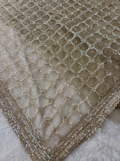 Designer Gold Beige Net Saree With Full Sleeves Sequence Blouse