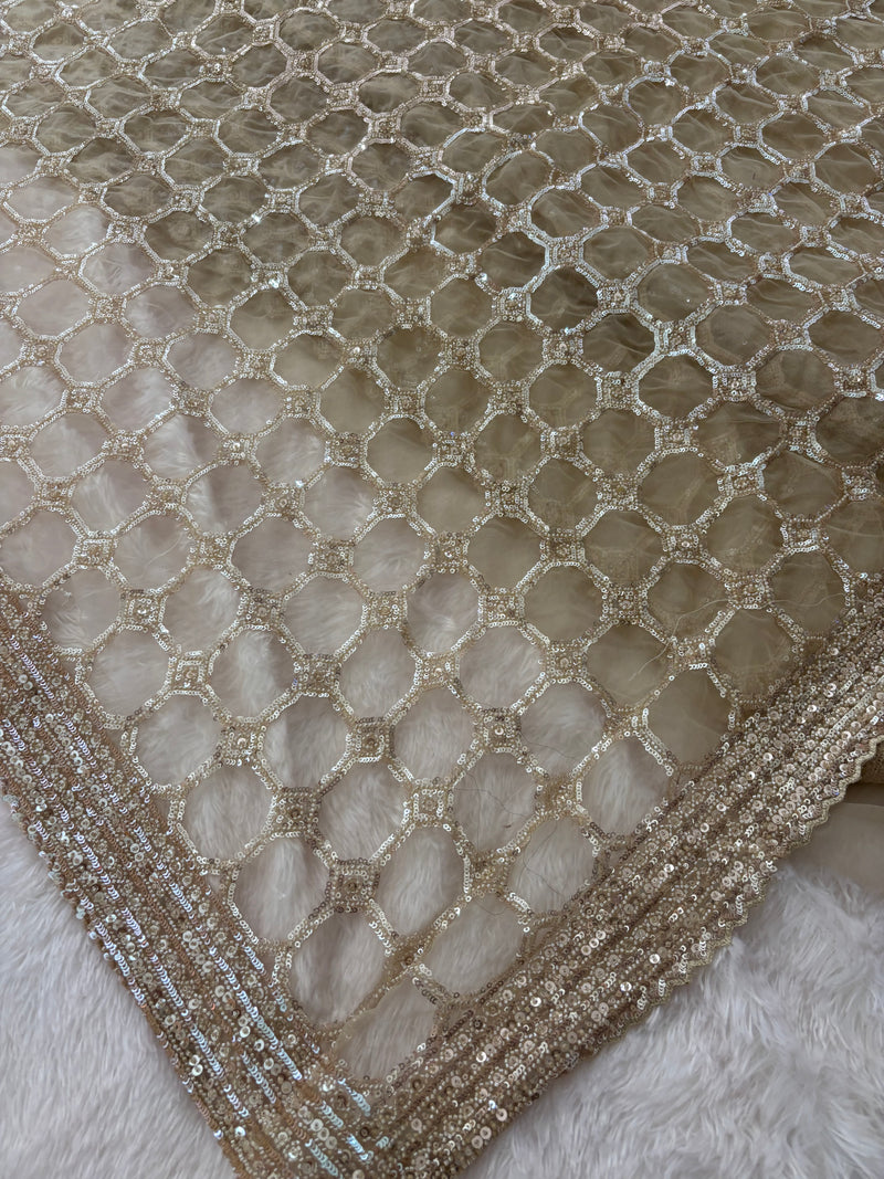 Designer Gold Beige Net Saree With Full Sleeves Sequence Blouse