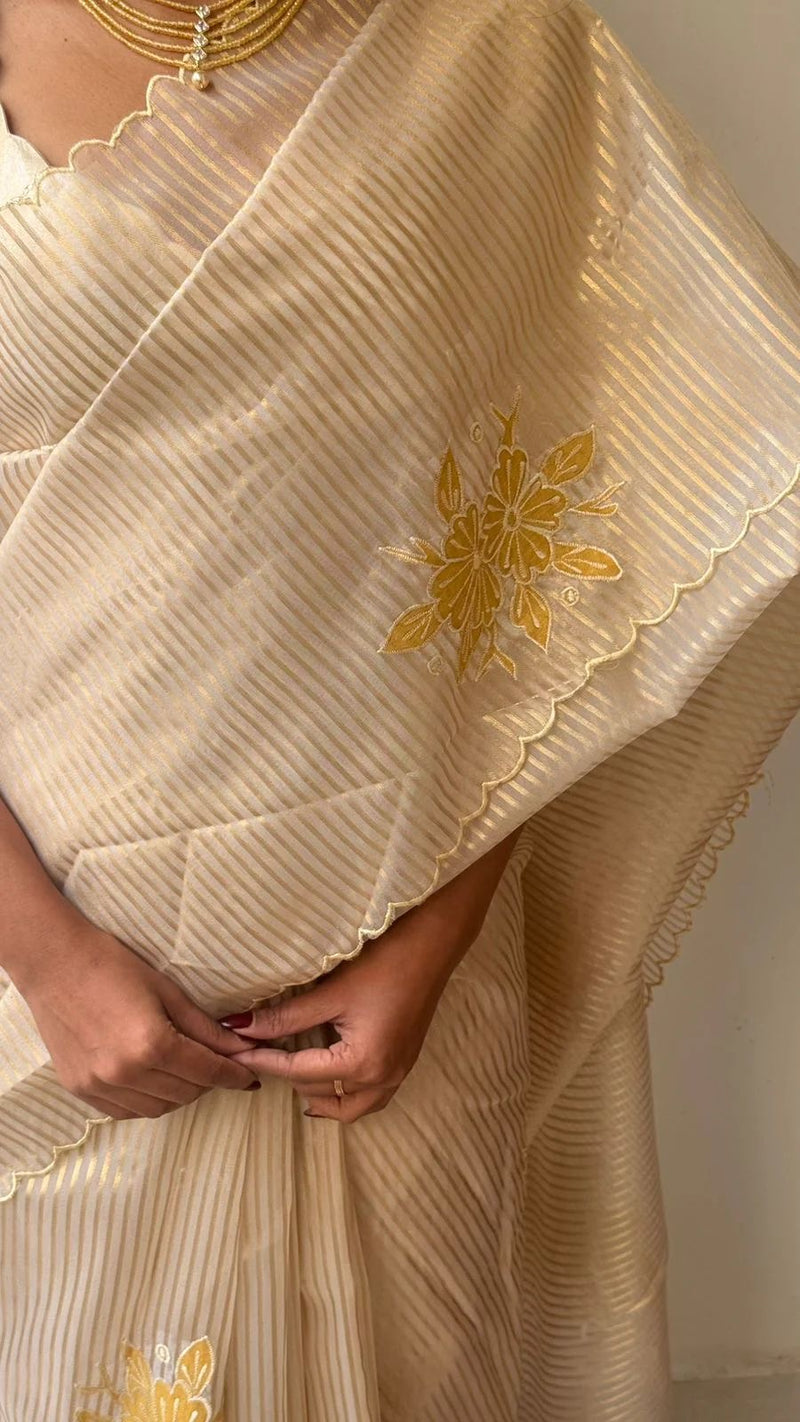 Applique Turkish Organza Saree