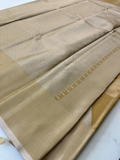 Kanchi Semi Tissue Silk Fancy
