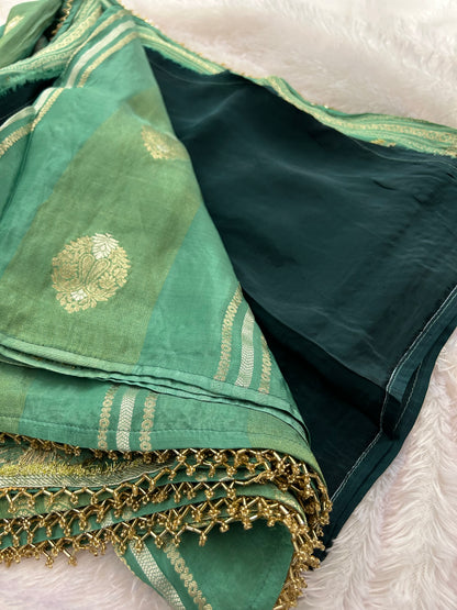 Chinnon Designer