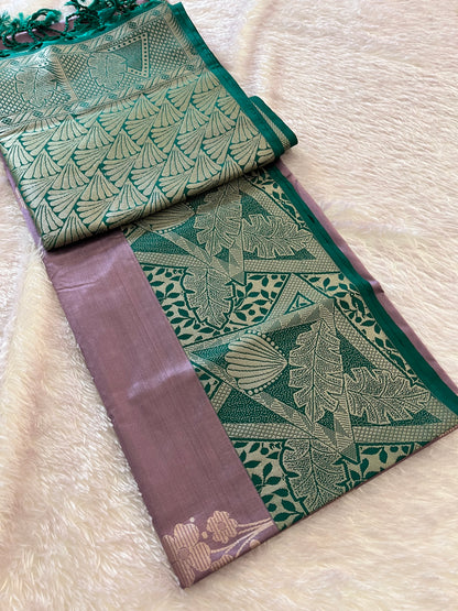 Kanchi semi silk
