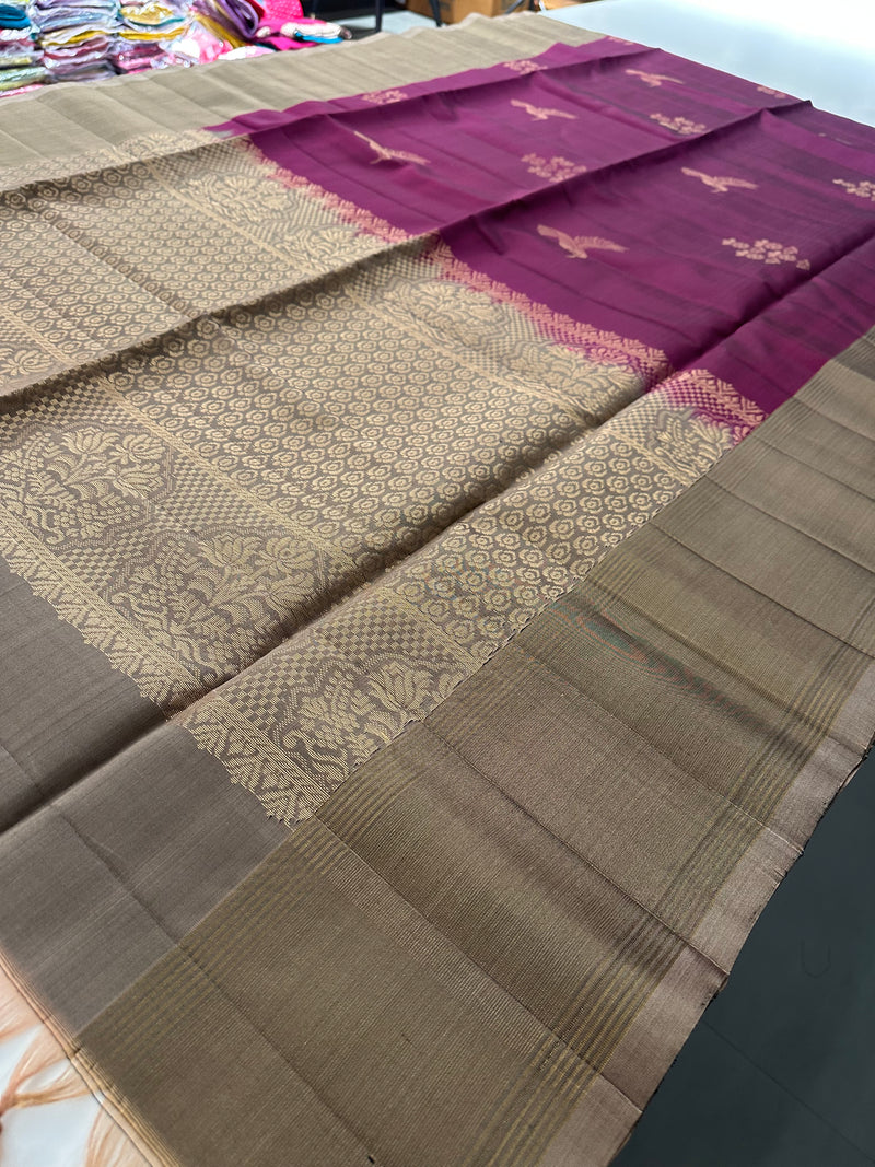 Kanchi PureMix Saree -AU4