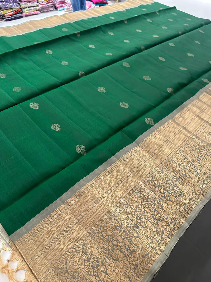 Kanchi PureMix Saree -AU4