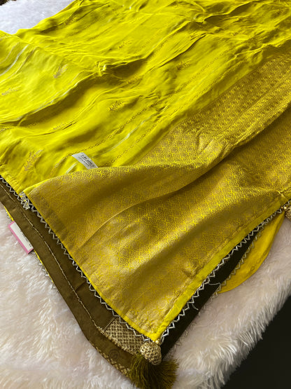 Designer Chinnon Silk CutDana Border