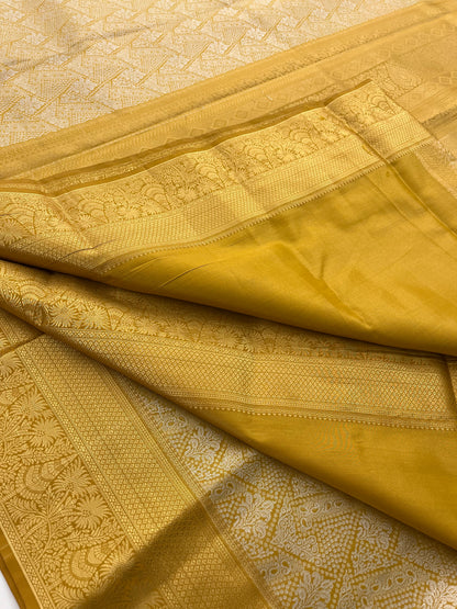 Kanchi semi Pattu