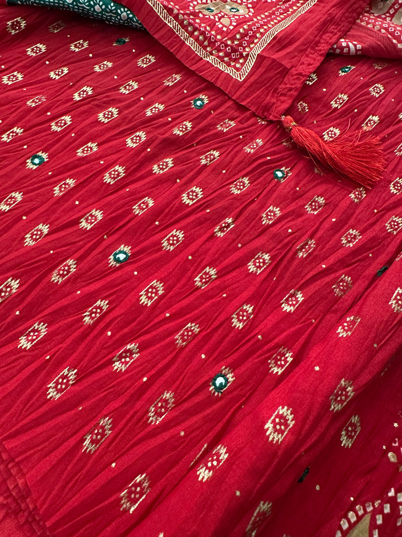 Crush Patola Fancy Saree-JU5