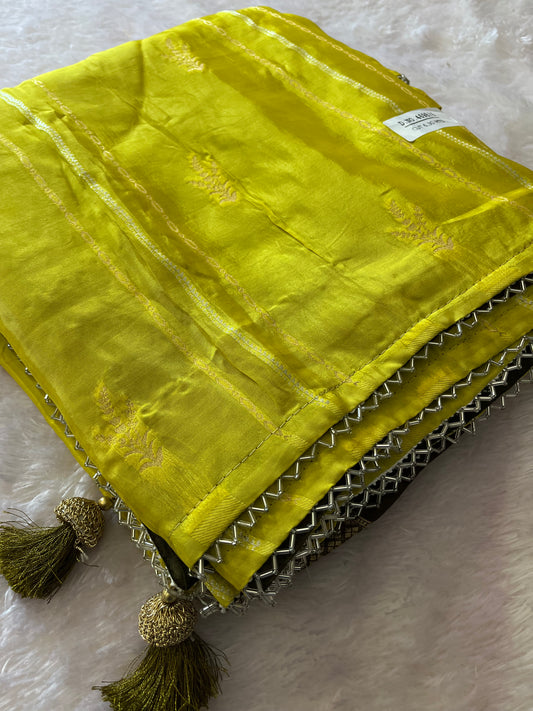 Designer Chinnon Silk CutDana Border