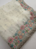 Organza Work Saree-M30
