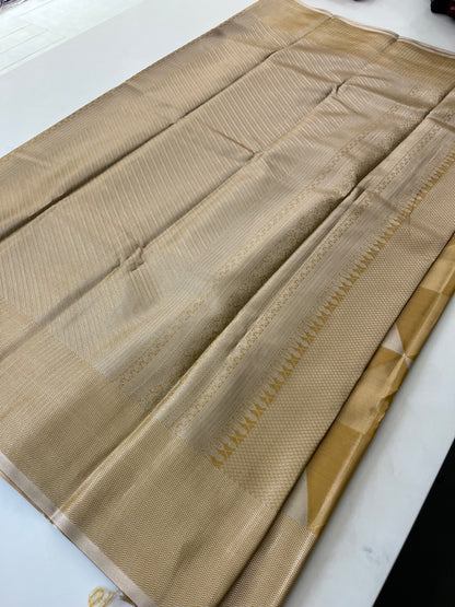 Kanchi Semi Tissue Silk Fancy