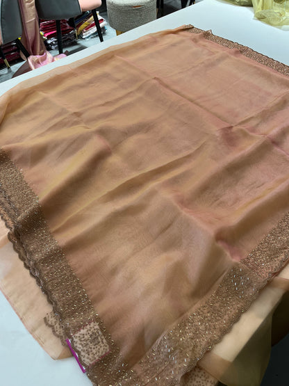 Tissue Organza Stone work border