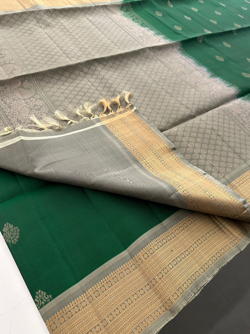 Kanchi PureMix Saree -AU4