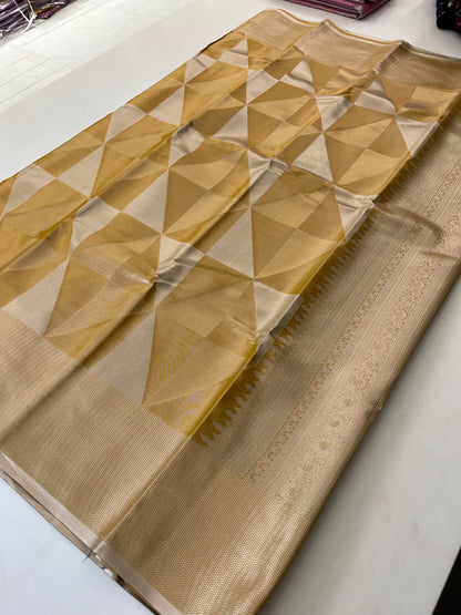 Kanchi Semi Tissue Silk Fancy