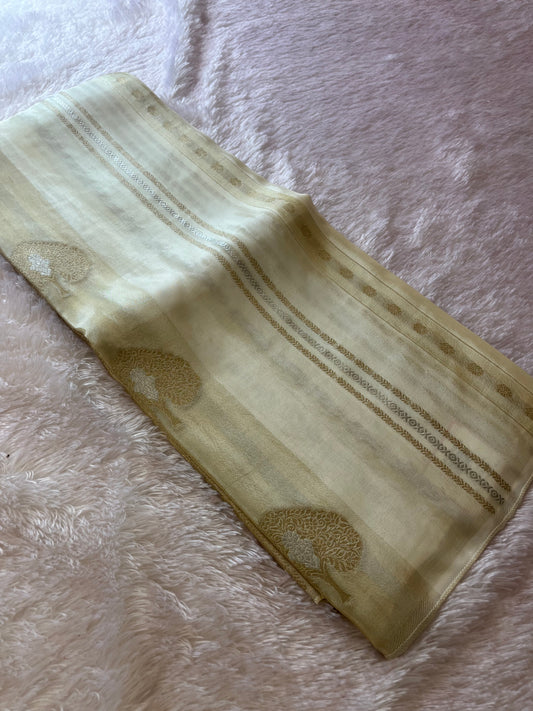 Fancy Chinnon Borderless