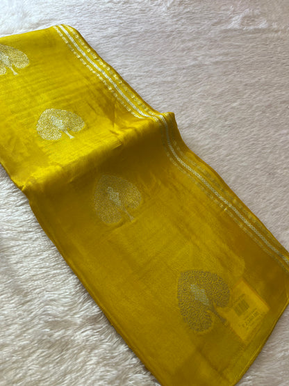 Fancy Chinnon Borderless