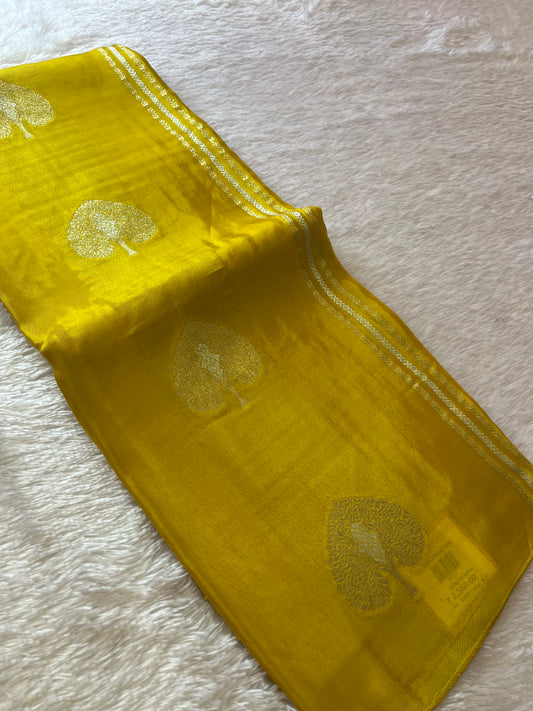 Fancy Chinnon Borderless