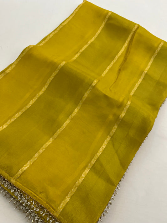 Designer CutDana Fancy Saree