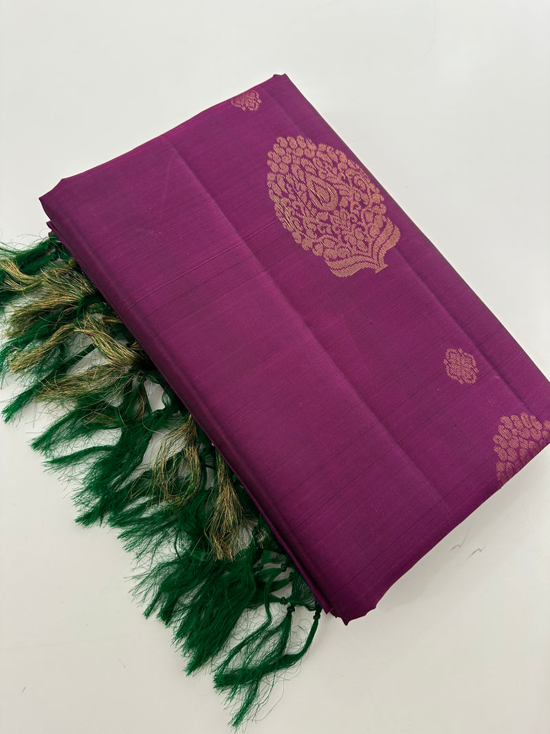 Kanchi PureMix Saree -AU4