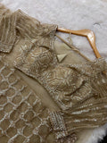 Designer Gold Beige Net Saree With Full Sleeves Sequence Blouse