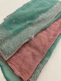 Organza Work Saree-M30