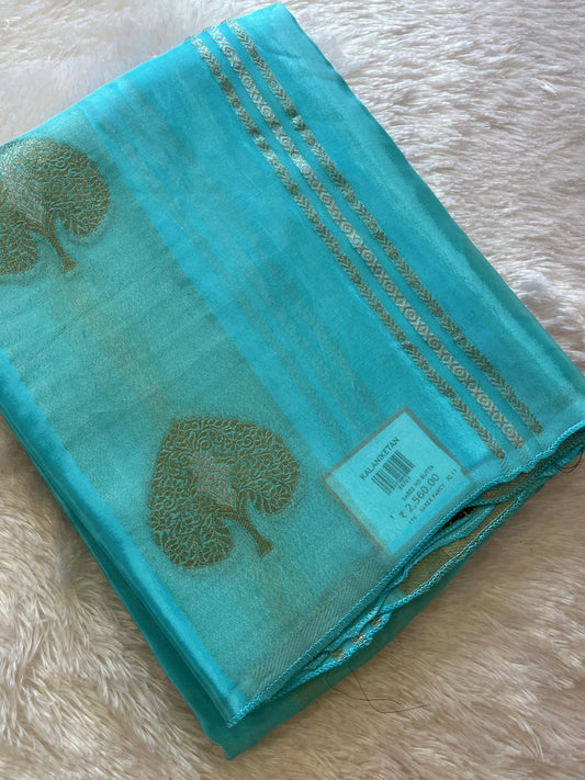 Fancy Chinnon Borderless