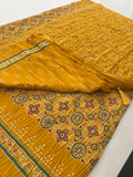 Crush Patola Fancy Saree-J25