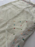 Organza Work Saree-M30