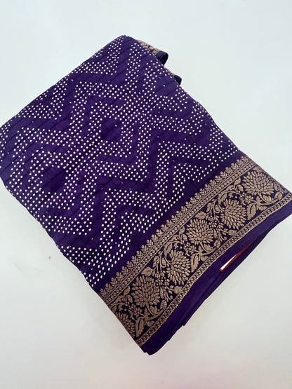 Fancy Sequence Saree