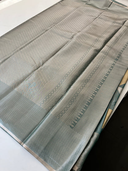 Kanchi Semi Tissue Silk Fancy