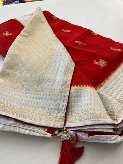 Dupion Silk Designer
